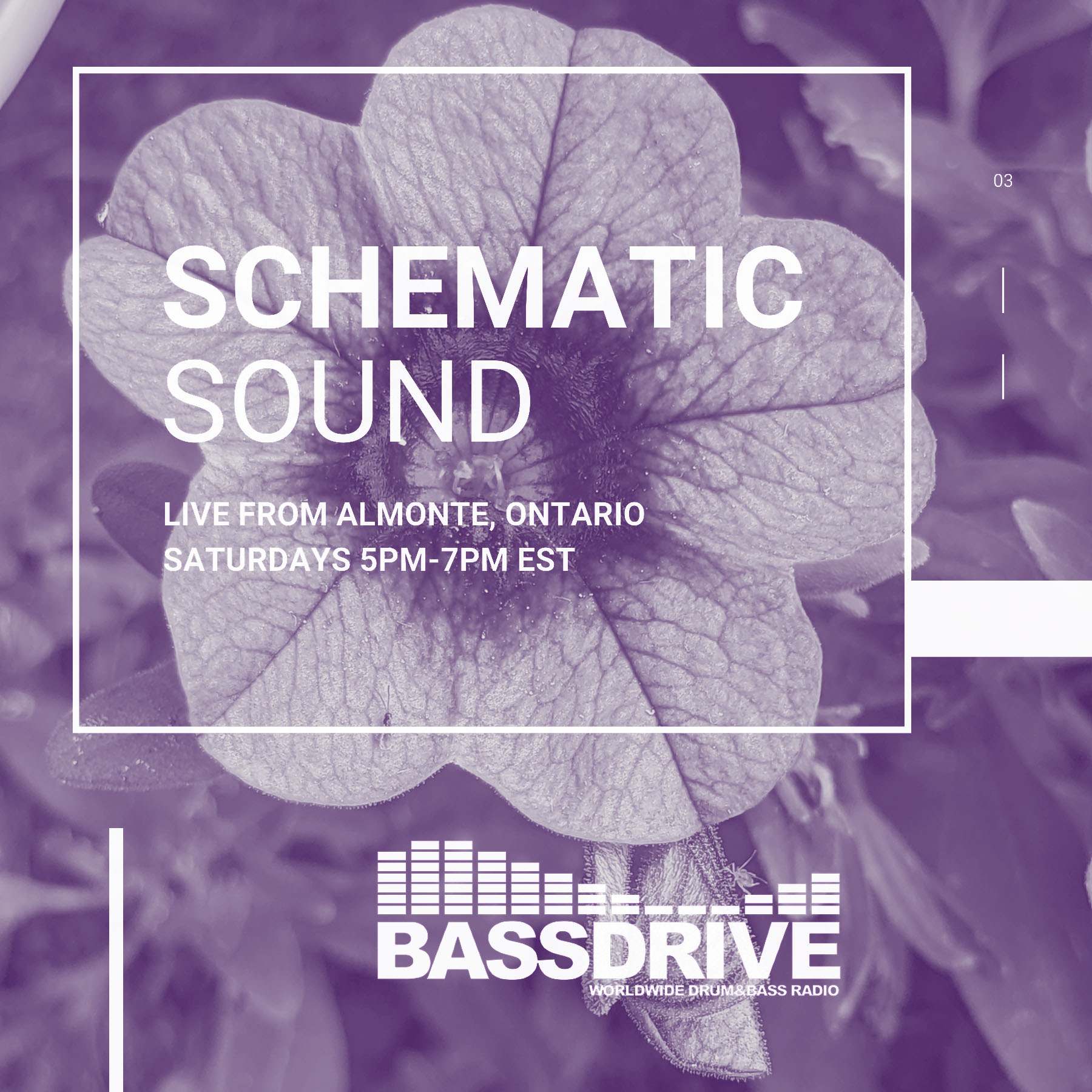 Schematic Sound LIVE on Bassdrive 07-17-2021
