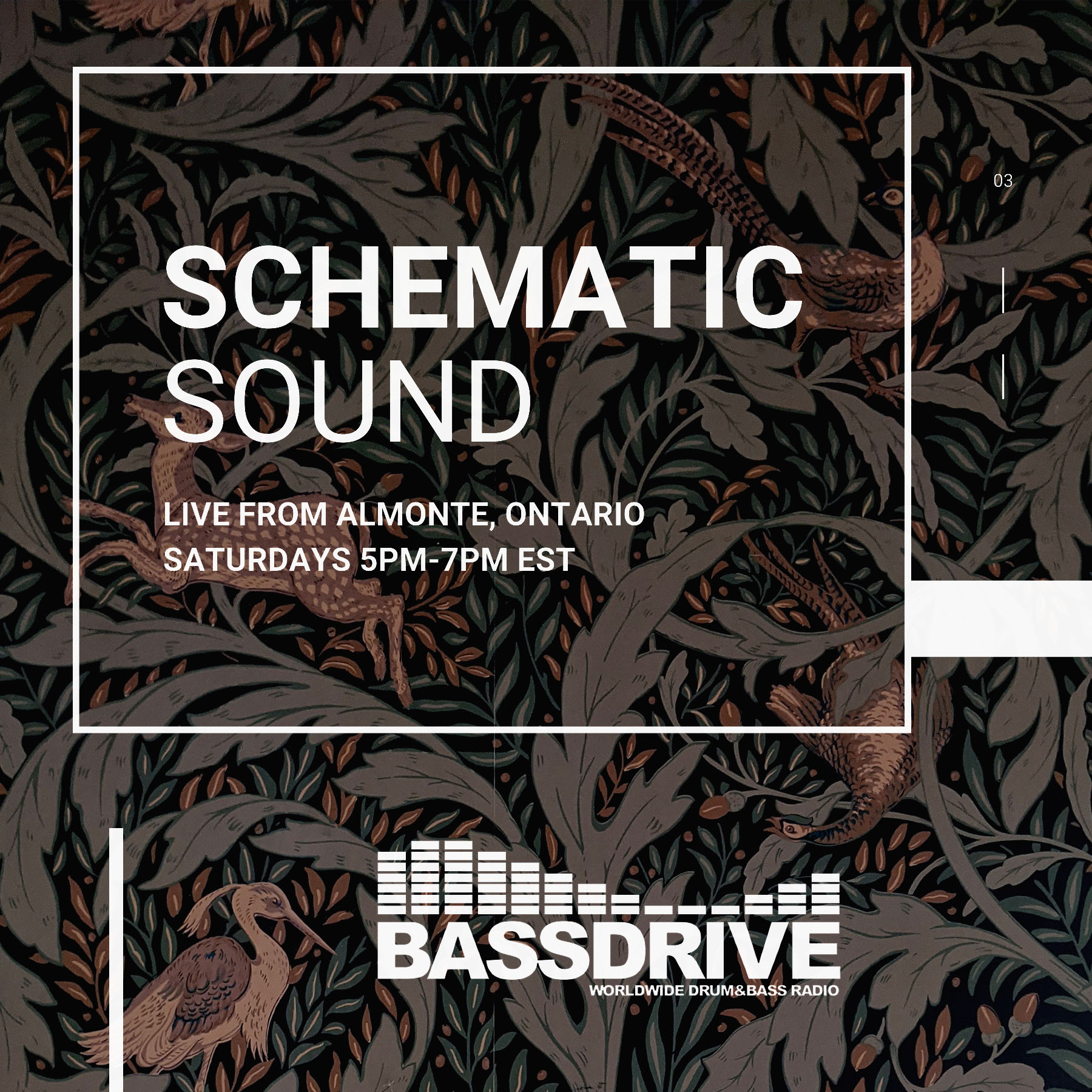 Schematic Sound LIVE on Bassdrive 07-24-2021